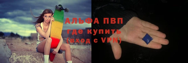гашик Арсеньев