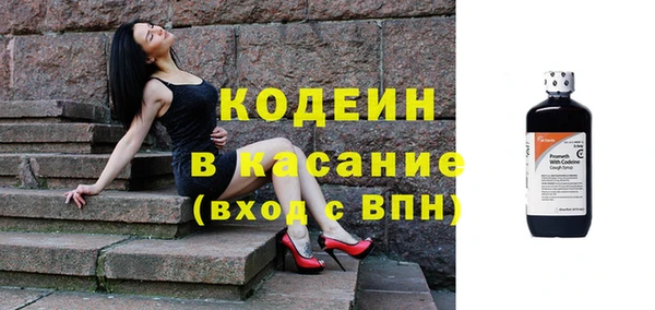 гашик Арсеньев