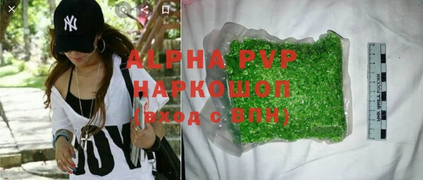 гашик Арсеньев