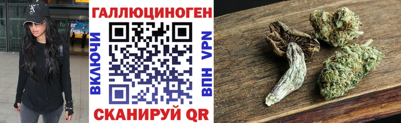 Галлюциногенные грибы MAGIC MUSHROOMS  shop Telegram  Сальск  где продают  